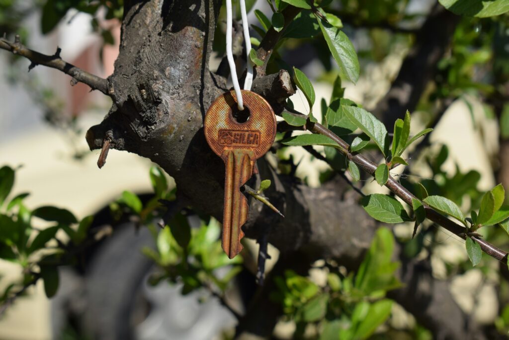 eastern suburbs car rental