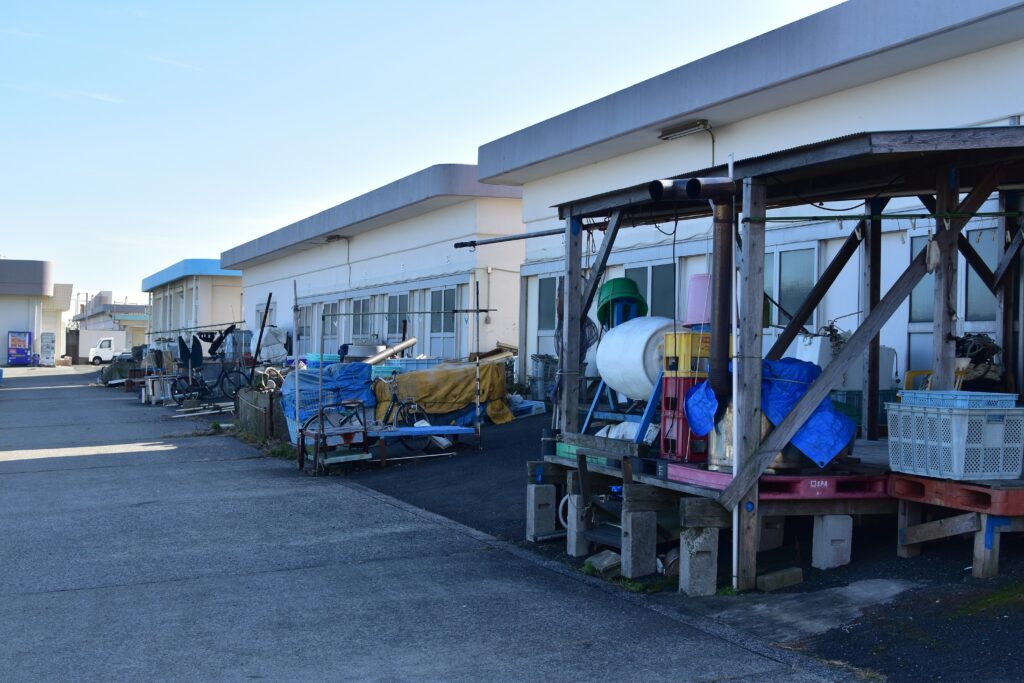 caulfield car rental